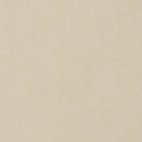 Farbmuster Jeans in light sand