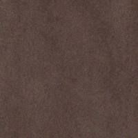 Color swatch of jacket in Brown